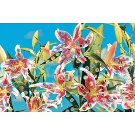 LondonArt / Toiletpaper