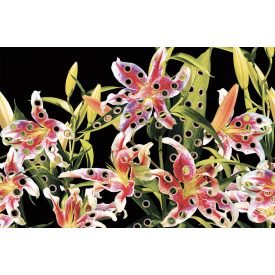 LondonArt / Toiletpaper