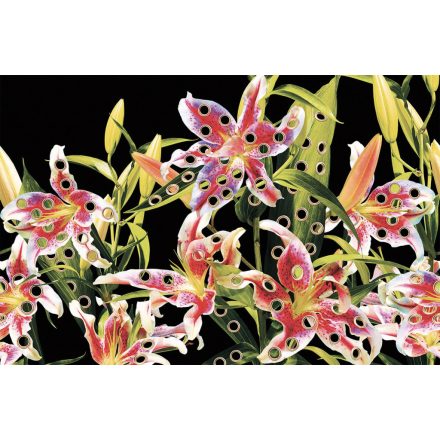 LondonArt / Toiletpaper