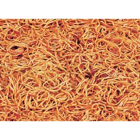 LondonArt / Toiletpaper