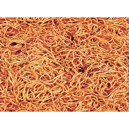 LondonArt / Toiletpaper