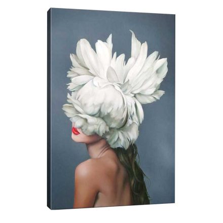 Pakketo / Kiegészítő