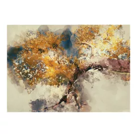 Pakketo / Kiegészítő