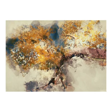 Pakketo / Kiegészítő