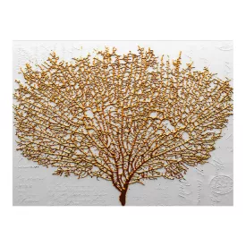 Pakketo / Kiegészítő