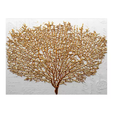 Pakketo / Kiegészítő