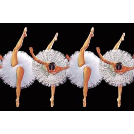 LondonArt / Toiletpaper