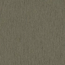 Adawall / Beta Tapéta (15.6 MTR)