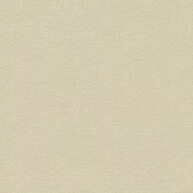 Adawall / Beta Tapéta (15.6 MTR)