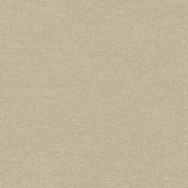 Adawall / Beta Tapéta (15.6 MTR)