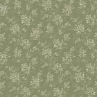 Boras / Everyday Moments tapéta