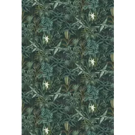 Boras / Special Edition Wild Animals tapéta