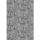 Boras / Special Edition Wild Animals tapéta