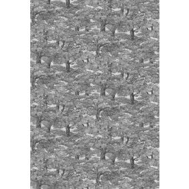 Boras / Special Edition Wild Animals tapéta