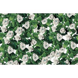 LondonArt / Toiletpaper