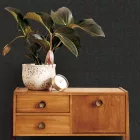 Vavex / 2026 tapéta