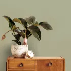 Vavex / 2027 tapéta