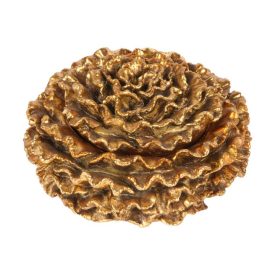 Dutch Style  Decoration