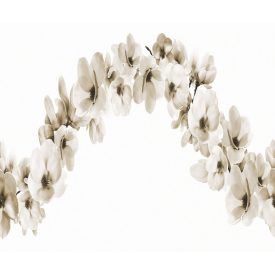 LondonArt / Exclusive Wallpaper