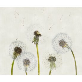 LondonArt / Exclusive Wallpaper