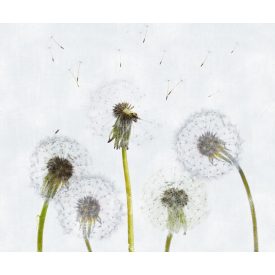 LondonArt / Exclusive Wallpaper