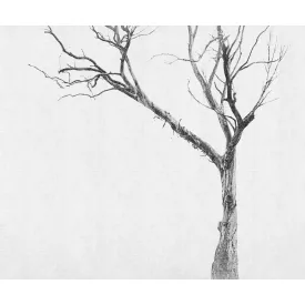 LondonArt / Exclusive Wallpaper