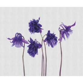 LondonArt / Exclusive Wallpaper