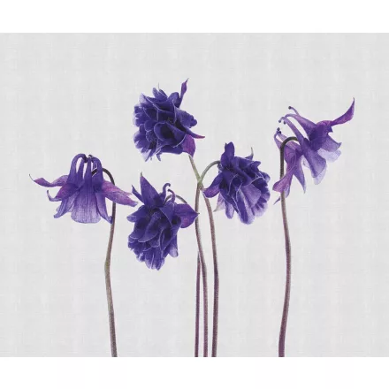 LondonArt / Exclusive Wallpaper