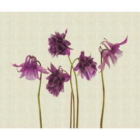 LondonArt / Exclusive Wallpaper