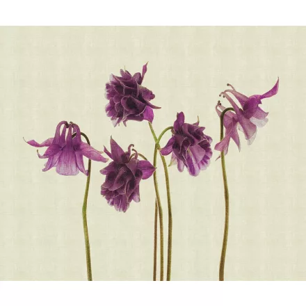 LondonArt / Exclusive Wallpaper