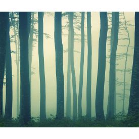 LondonArt / Exclusive Wallpaper