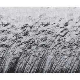 LondonArt / Exclusive Wallpaper