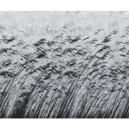 LondonArt / Exclusive Wallpaper