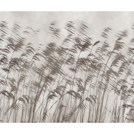 LondonArt / Exclusive Wallpaper