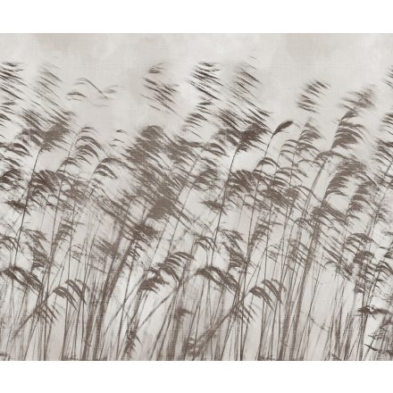 LondonArt / Exclusive Wallpaper