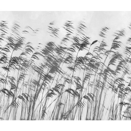 LondonArt / Exclusive Wallpaper