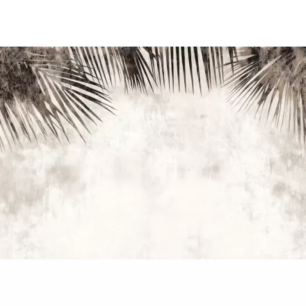 Consalnet / Poszter