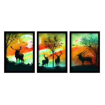 Pakketo / Kiegészítő