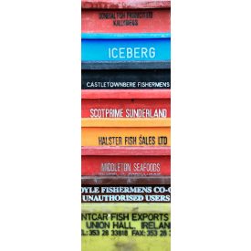 Komar / Colorful poszter