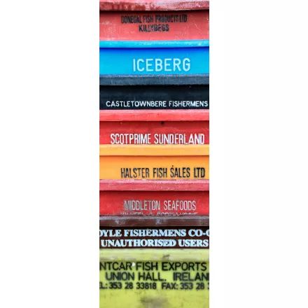 Komar / Colorful poszter