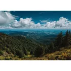 Consalnet / Poszter
