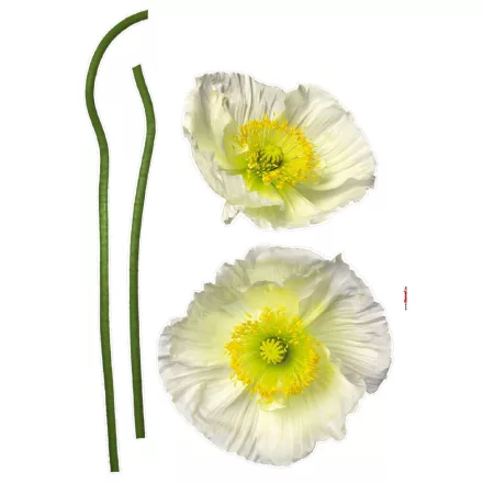 Komar / Colorful poszter