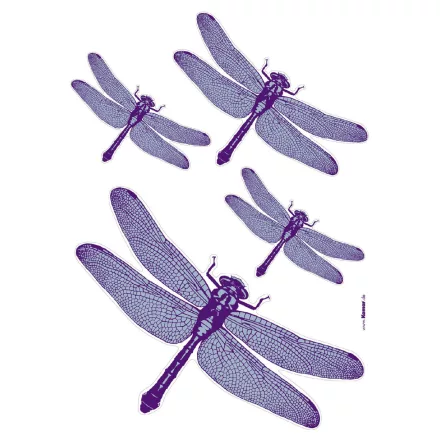 Komar / Colorful poszter