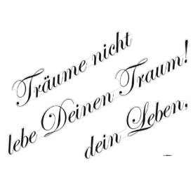 Komar / Colorful poszter