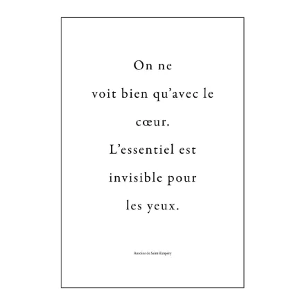 Komar / Colorful poszter