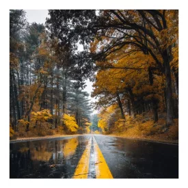 Pakketo / Kiegészítő