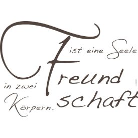 Komar / Colorful poszter