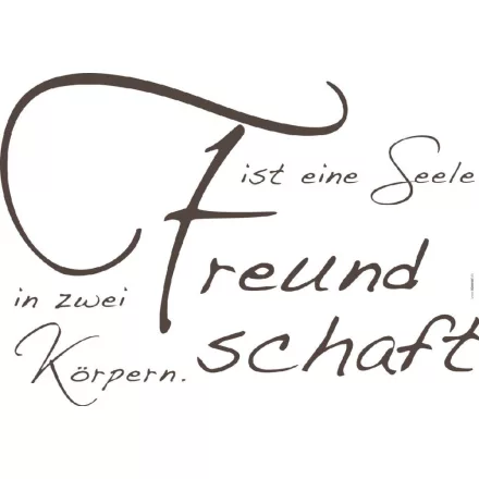 Komar / Colorful poszter