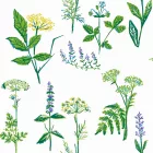 Boras / Scandinavian Designers II tapéta