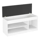 Entrance furniture - stool - shoe rack Oriental pakoworld in white shade 100x37.2x50cm